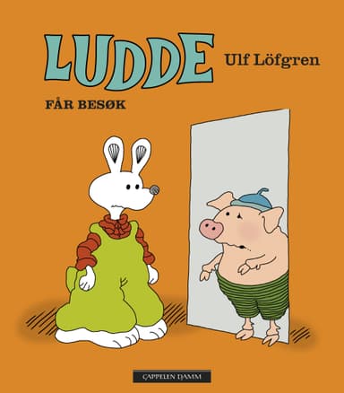 Omslag av "Ludde får besøk"