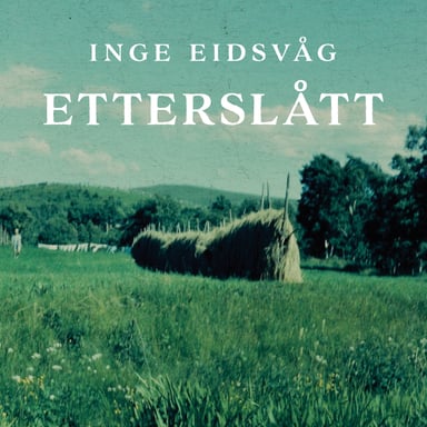 Omslag av "Etterslått"