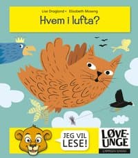 Omslag av "Hvem i lufta?"