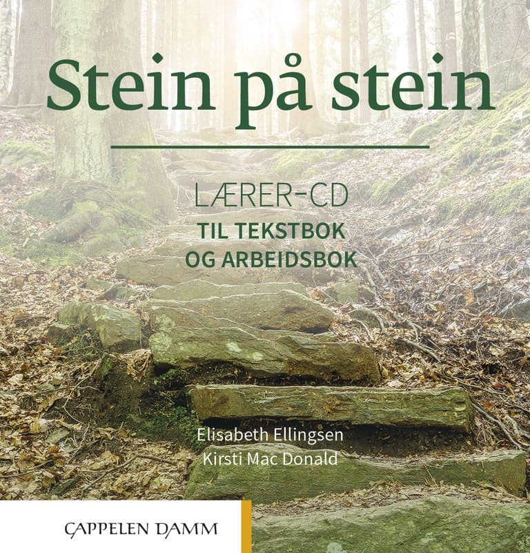Omslag Stein på stein Lærer-cd til tekstbok, arbeidsbok og lærerressurs (2021) av Elisabeth Ellingsen og Kirsti Mac Donald (Eske)