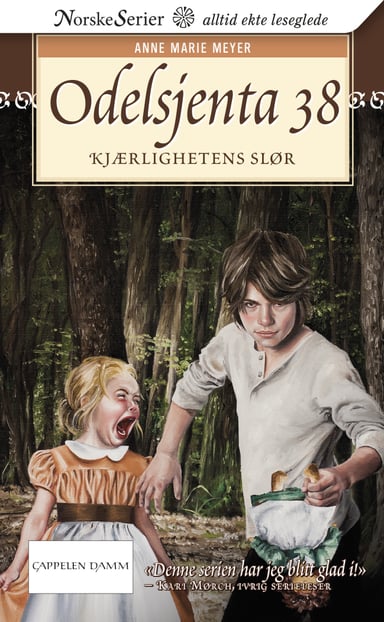 Omslag av "Kjærlighetens slør"