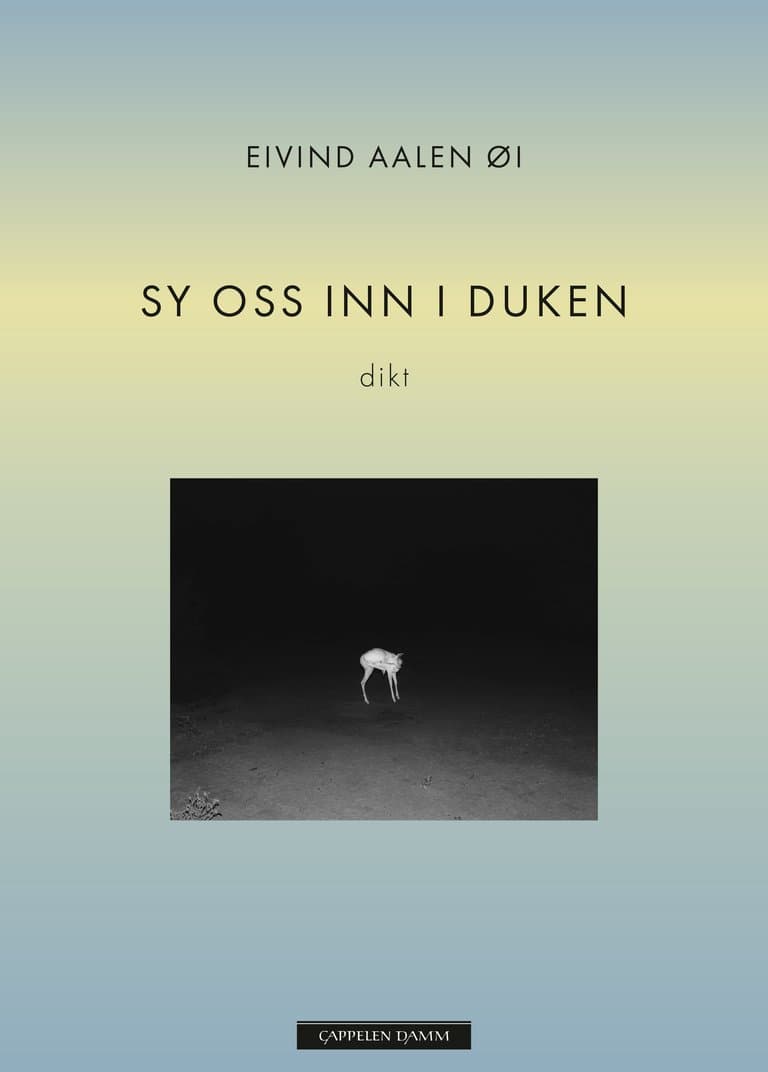 Omslag Sy oss inn i duken av Eike Aalen Øi (Heftet)