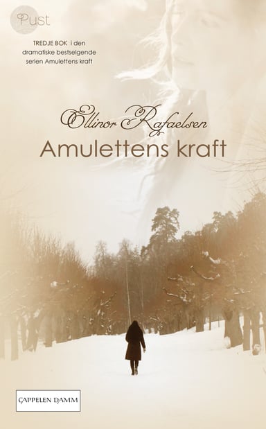 Omslag av "Amulettens kraft 3"