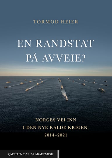 Omslag av "En randstat på avveie?"