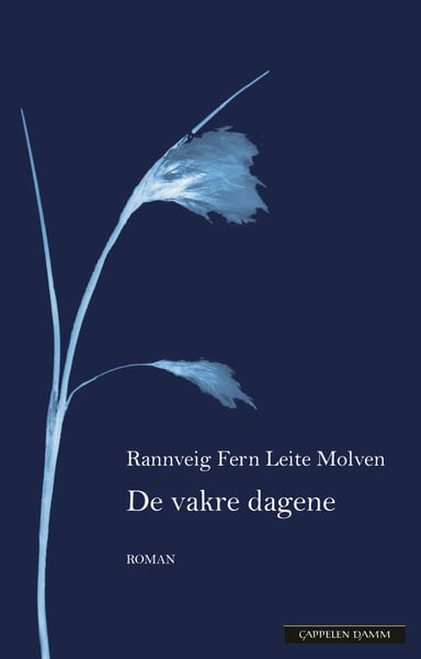 Omslag av "De vakre dagene"