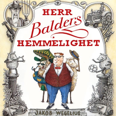Omslag av "Herr Balders hemmelighet"