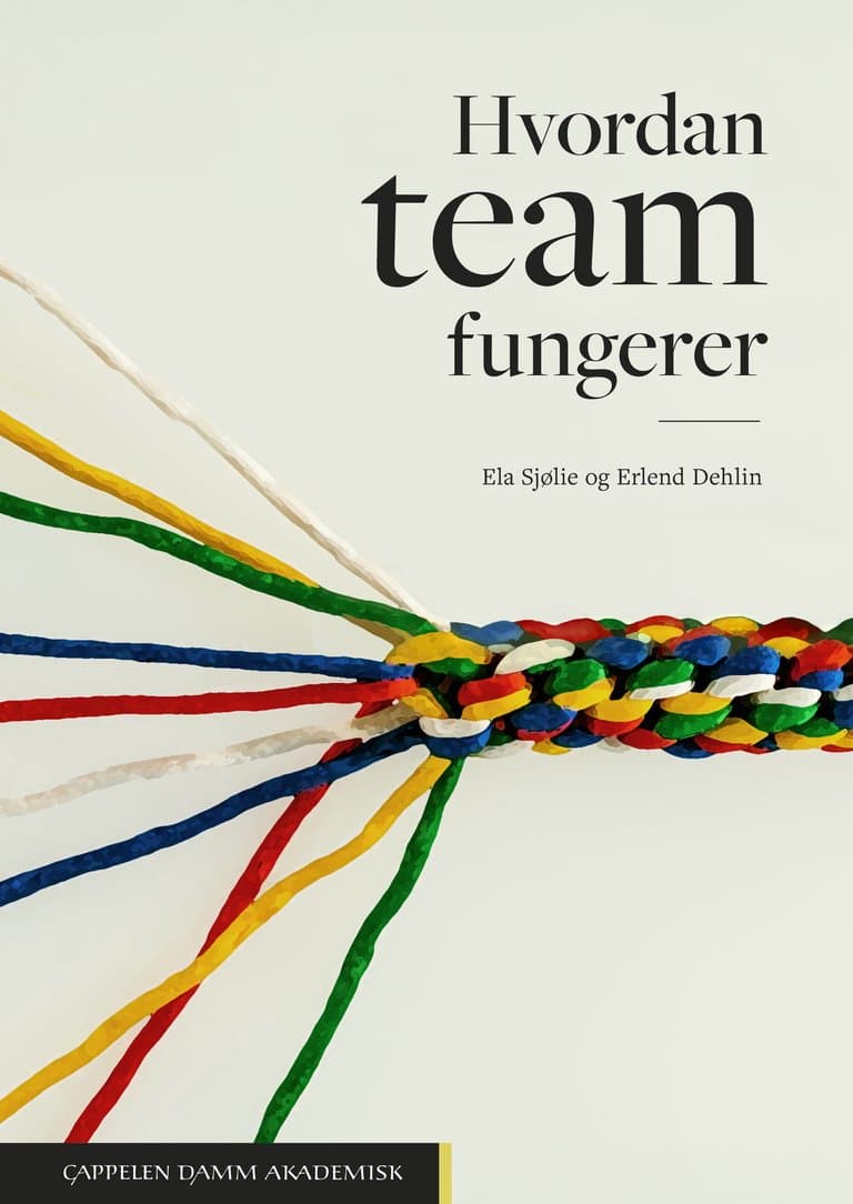 Omslag Hvordan team fungerer av Ela Sjølie og Erlend Dehlin (Heftet)