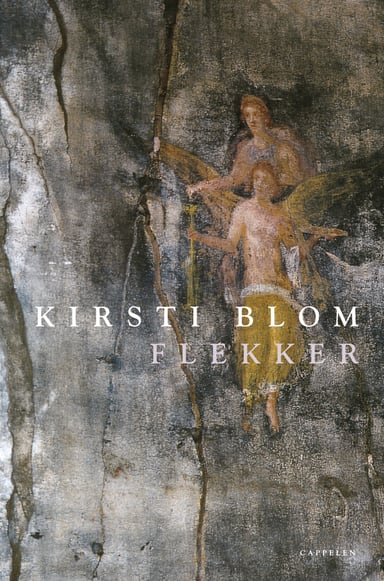 Omslag av "Flekker"