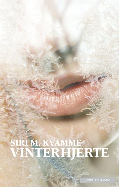 Omslag av "Vinterhjerte"
