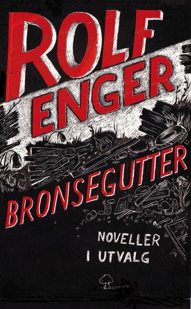 Omslag av "Bronsegutter"