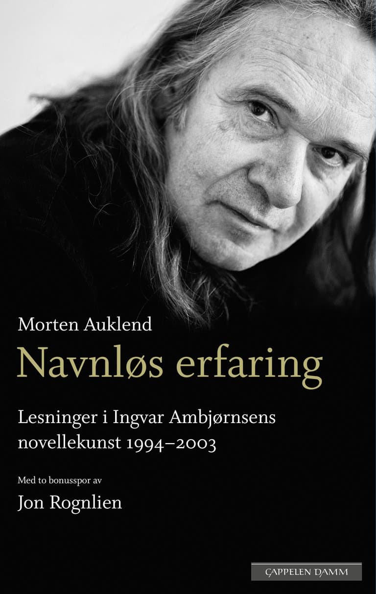 Omslag Navnløs erfaring av Morten Auklend (Innbundet)