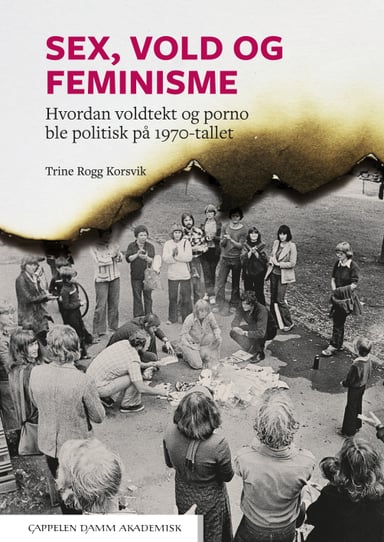 Omslag av "Sex, vold og feminisme"