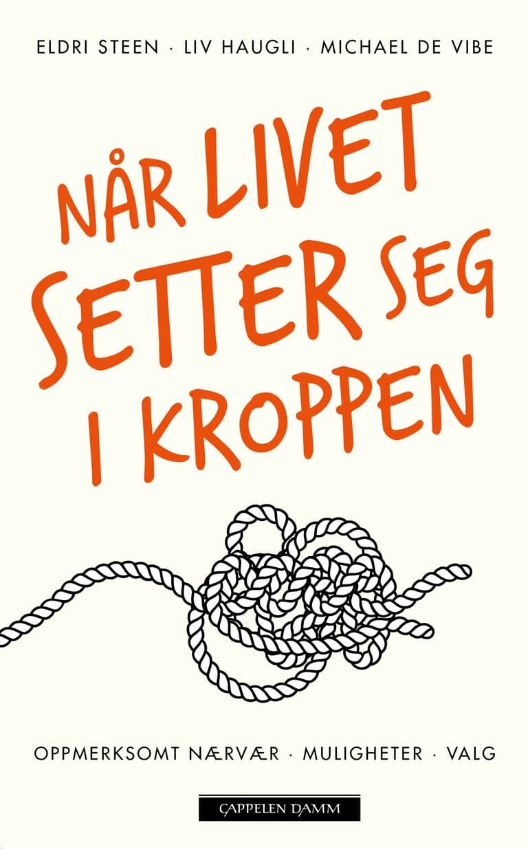 Omslag Når livet setter seg i kroppen av Liv Haugli, Eldri Steen og Michael de Vibe (Heftet)