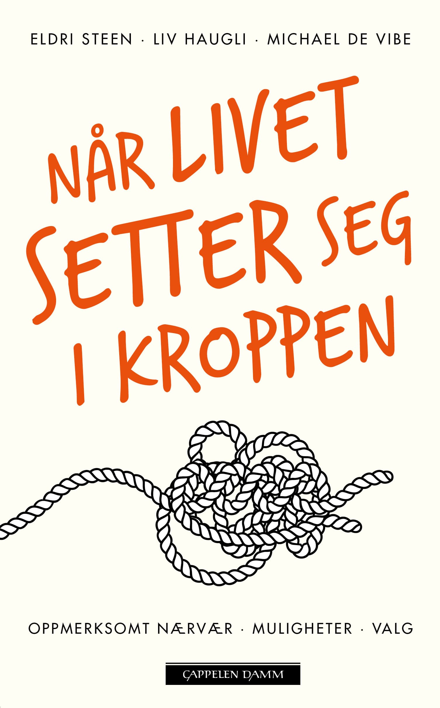 Omslag Når livet setter seg i kroppen av Liv Haugli, Eldri Steen og Michael de Vibe (Heftet)