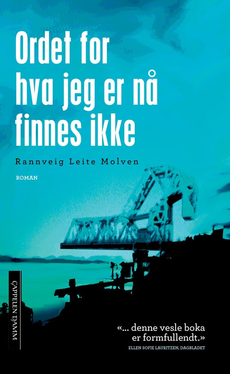 Omslag Ordet for hva jeg er nå finnes ikke av Rannveig Leite Molven (Heftet)