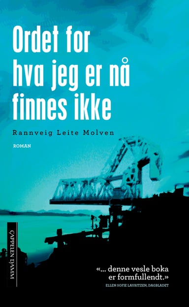 Omslag av "Ordet for hva jeg er nå finnes ikke"