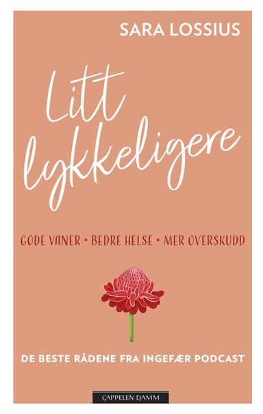 Omslag av "Litt lykkeligere"