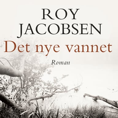 Omslag av "Det nye vannet"