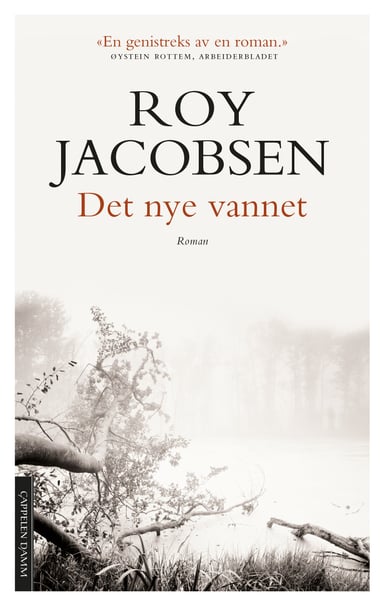 Omslag av "Det nye vannet"