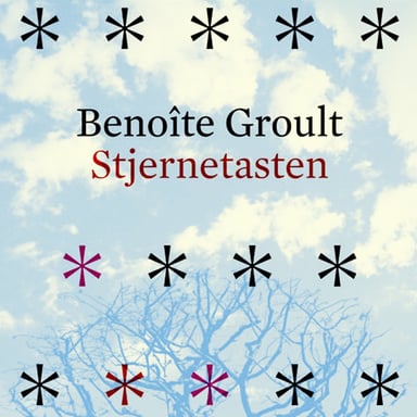 Omslag av "Stjernetasten"
