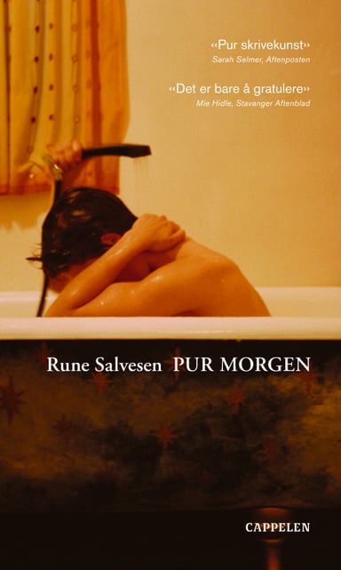 Omslag av "Pur morgen"