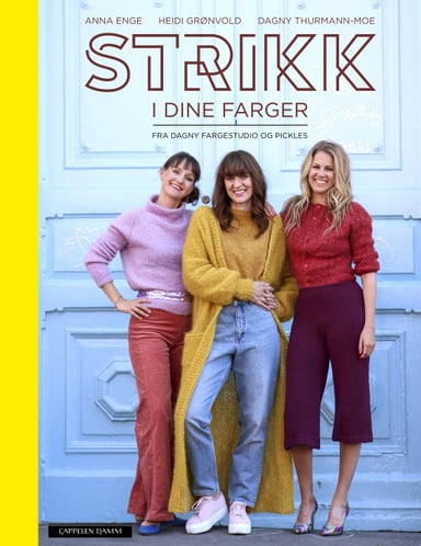 Omslag av "Strikk i dine farger"
