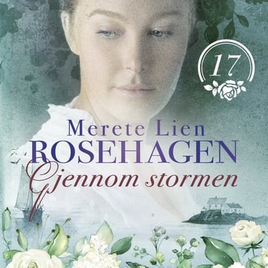 Omslag av "Gjennom stormen"