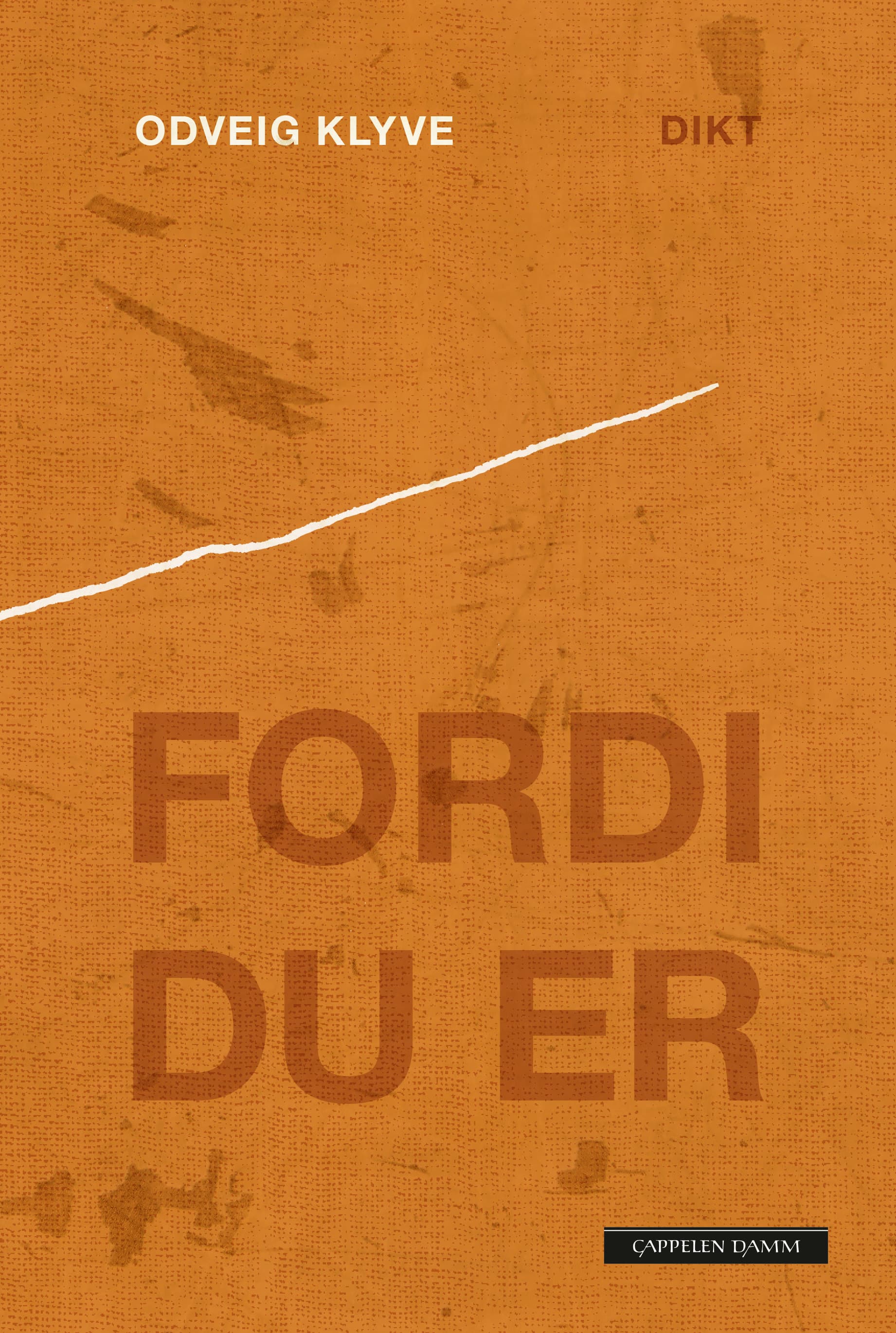 Omslag Fordi du er av Odveig Klyve (Innbundet)