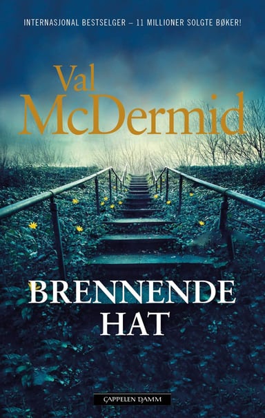 Omslag av "Brennende hat"