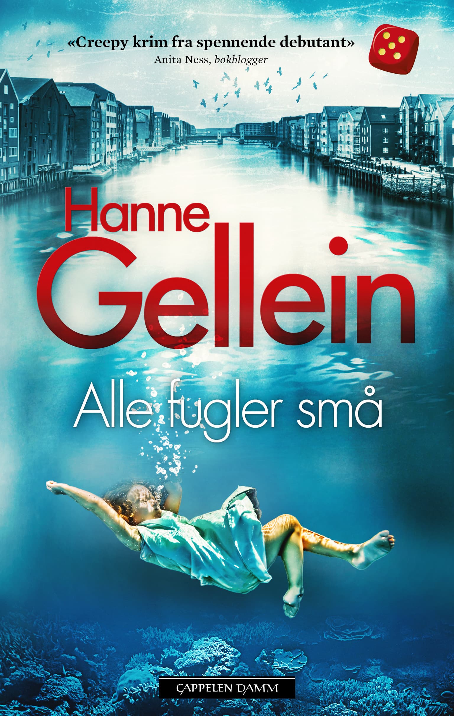 Omslag Alle fugler små av Hanne Gellein (Heftet)