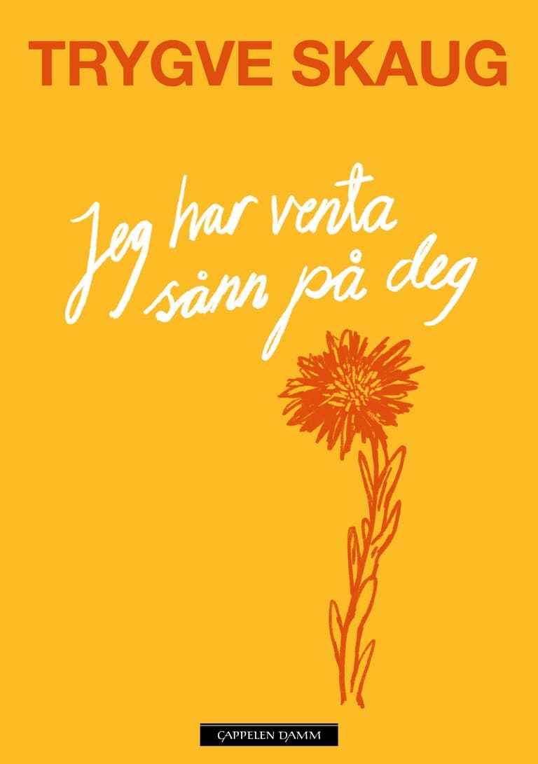 Omslag Jeg har venta sånn på deg av Trygve Skaug (Ebok)
