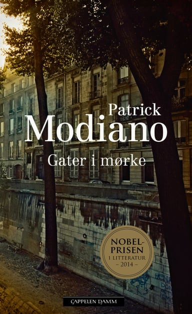 Omslag av "Gater i mørke"