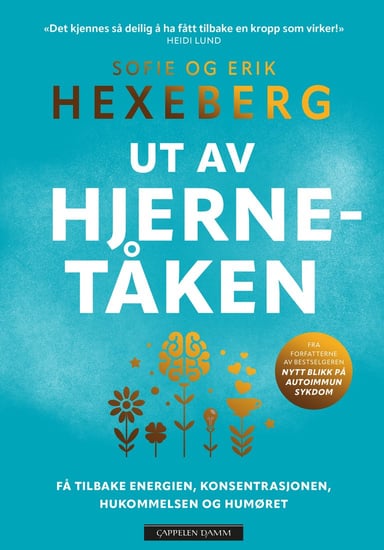Omslag av "Ut av hjernetåken"