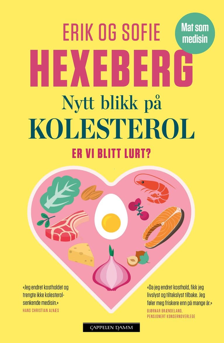 Omslag Nytt blikk på kolesterol av Erik Hexeberg og Sofie Hexeberg (Heftet)