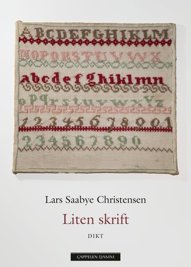 Omslag av "Liten skrift"