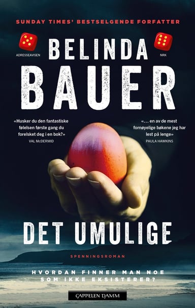 Omslag av "Det umulige"