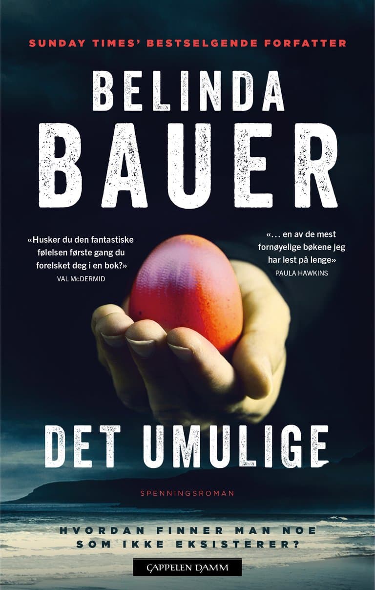Omslag Det umulige av Belinda Bauer (Ebok)
