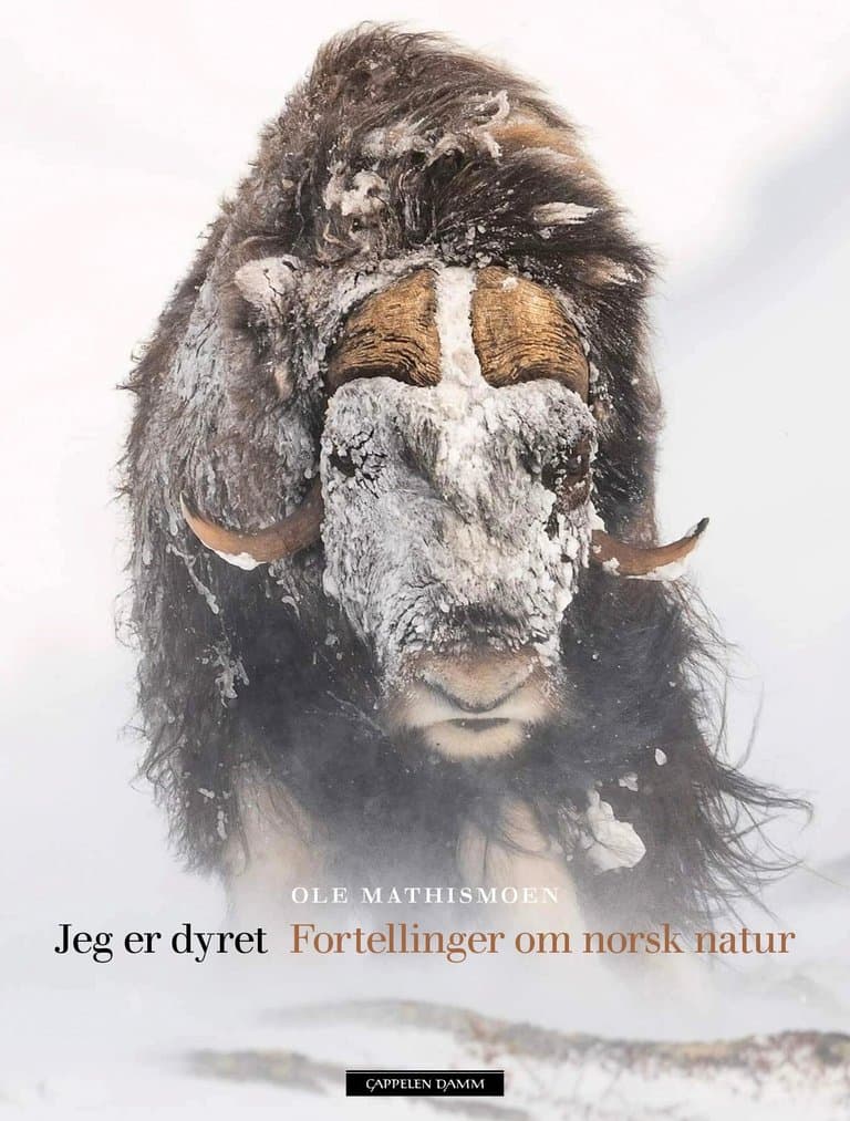 Omslag Jeg er dyret av Ole Mathismoen (Innbundet)