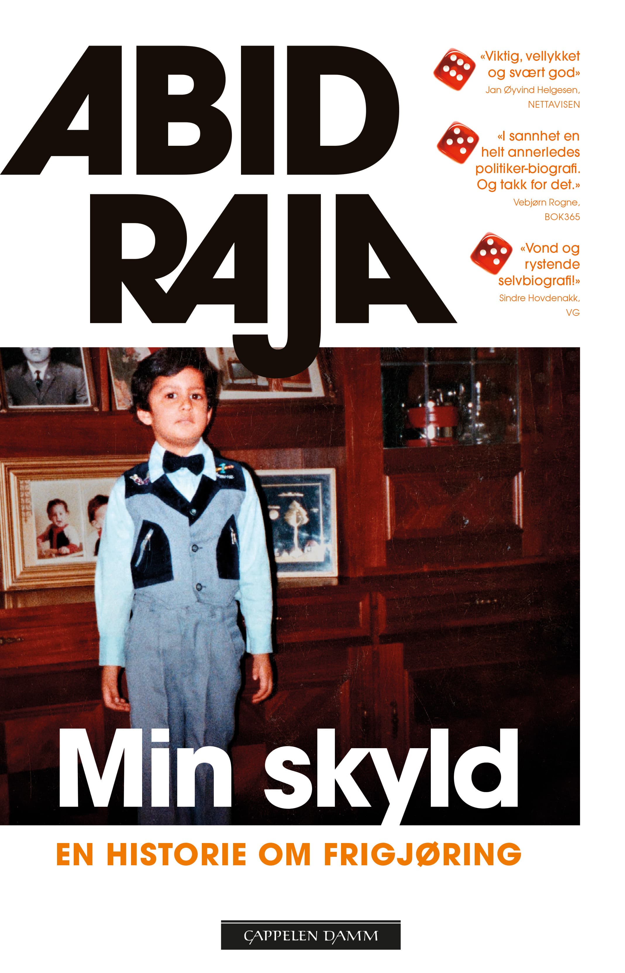 Omslag Min skyld av Abid Raja (Innbundet)
