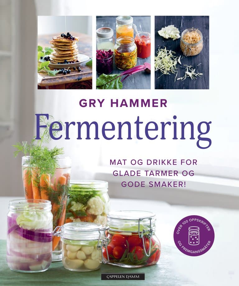 Omslag Fermentering av Gry Hammer (Innbundet)