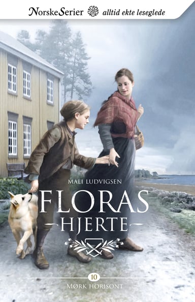 Omslag av "Mørk horisont"