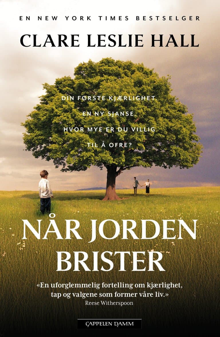 Omslag Når jorden brister av Clare Leslie Hall (Ebok)