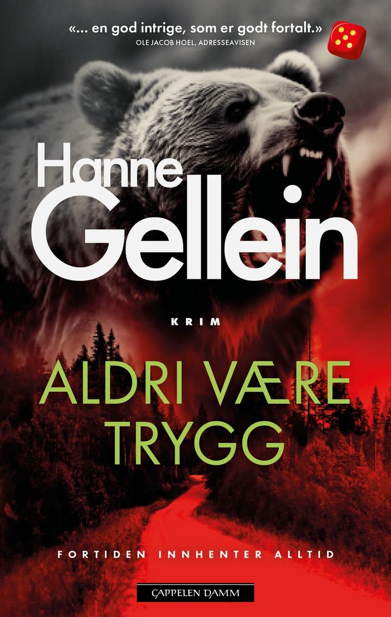 Omslag Aldri være trygg av Hanne Gellein (Innbundet)
