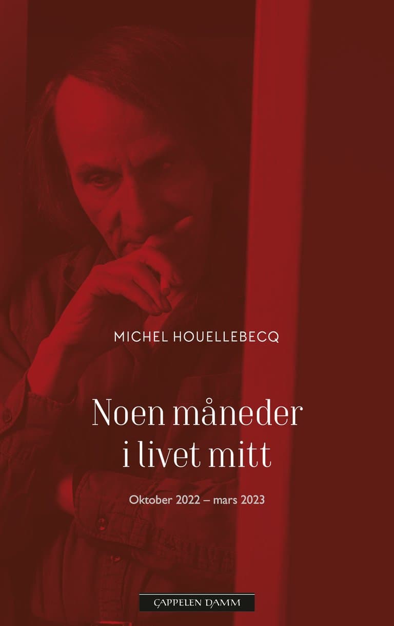 Omslag Noen måneder i livet mitt av Michel Houellebecq (Ebok)