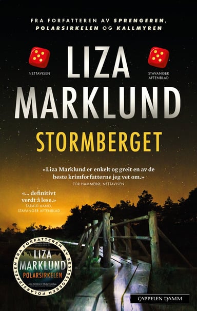 Omslag av "Stormberget"