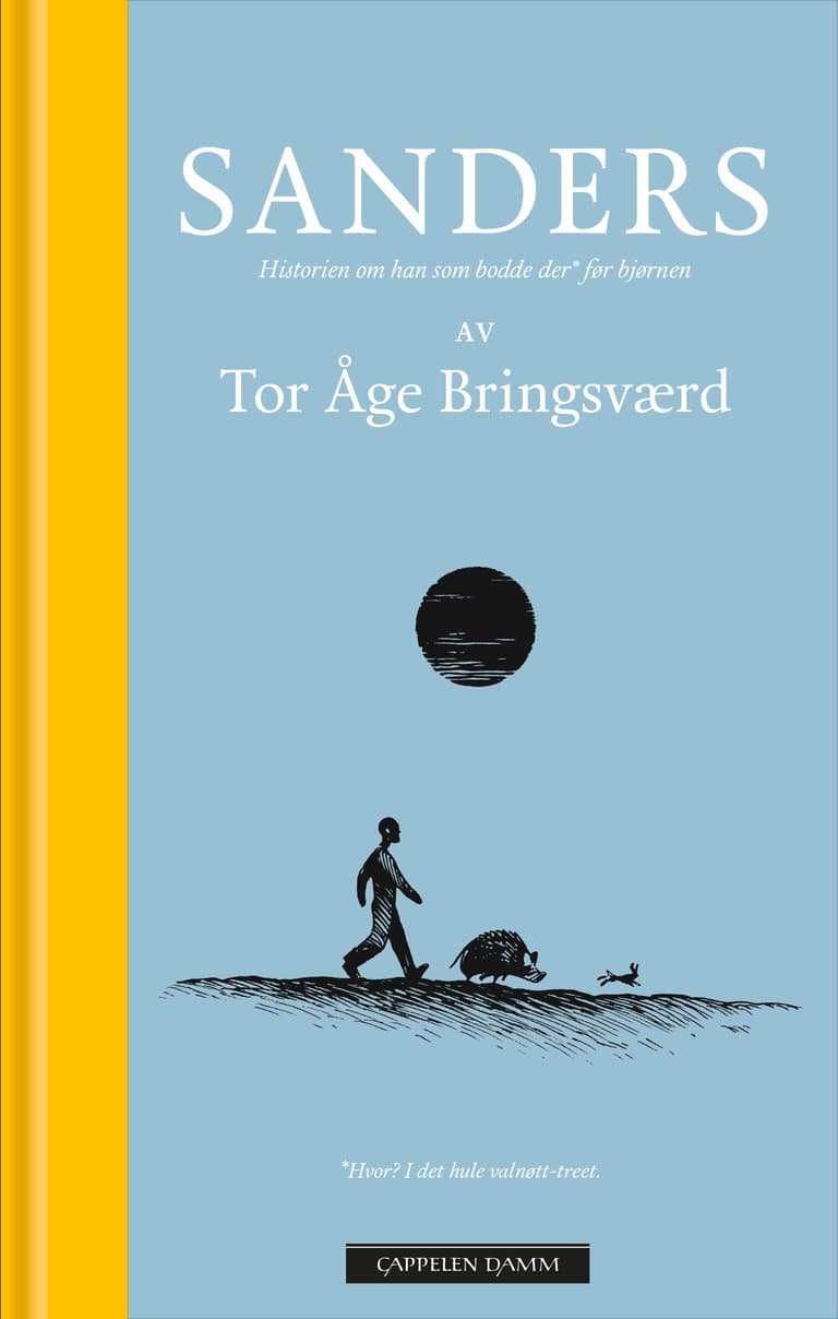 Omslag Sanders av Tor Åge Bringsværd (Ebok)