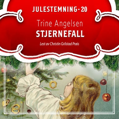 Omslag av "Stjernefall"