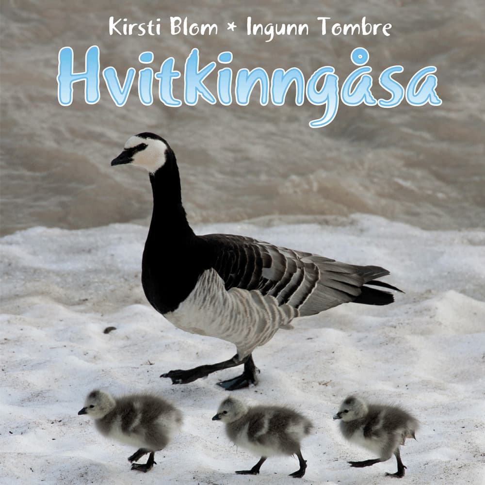 Omslag Hvitkinngåsa av Kirsti Blom og Ingunn Tombre (Lydbok)