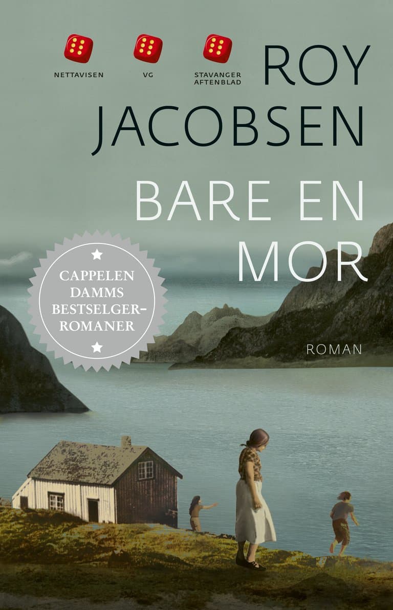 Omslag Bare en mor av Roy Jacobsen (Heftet)
