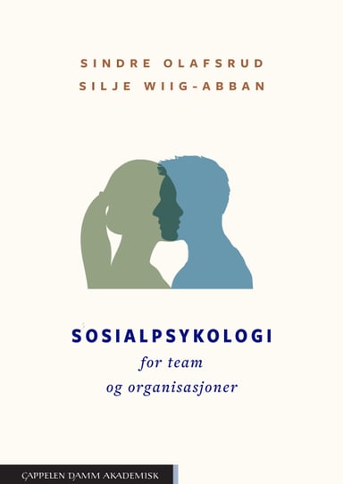 Omslag av "Sosialpsykologi for team og organisasjoner"